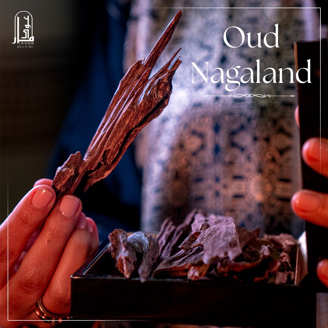 Oud Nagaland