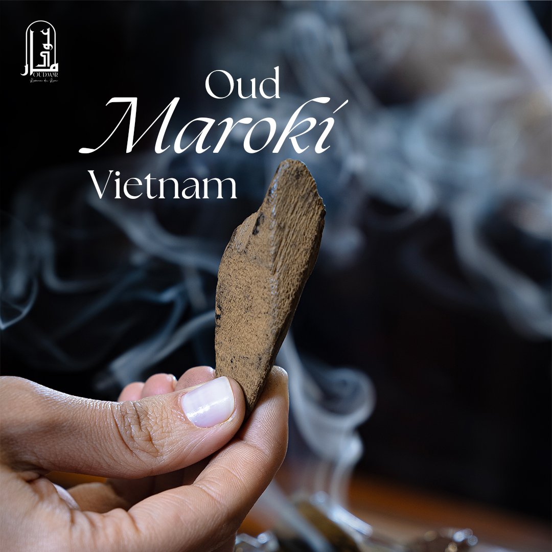 Oud Maroki Vietname