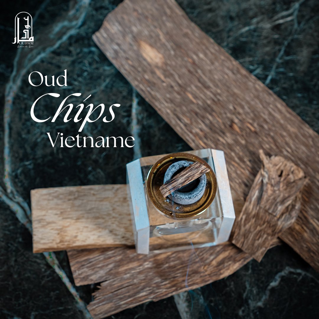 Oud Chips Vietnam